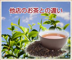 他店のお茶との違い